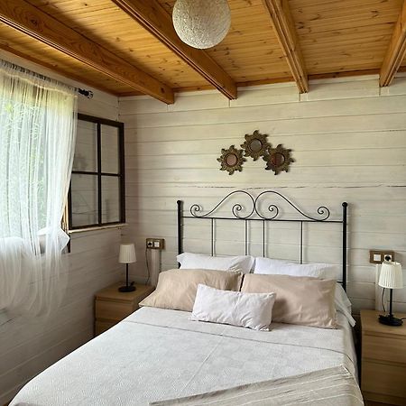 Casa Rural Las Bodegas Setenil De Las Bodegas Εξωτερικό φωτογραφία